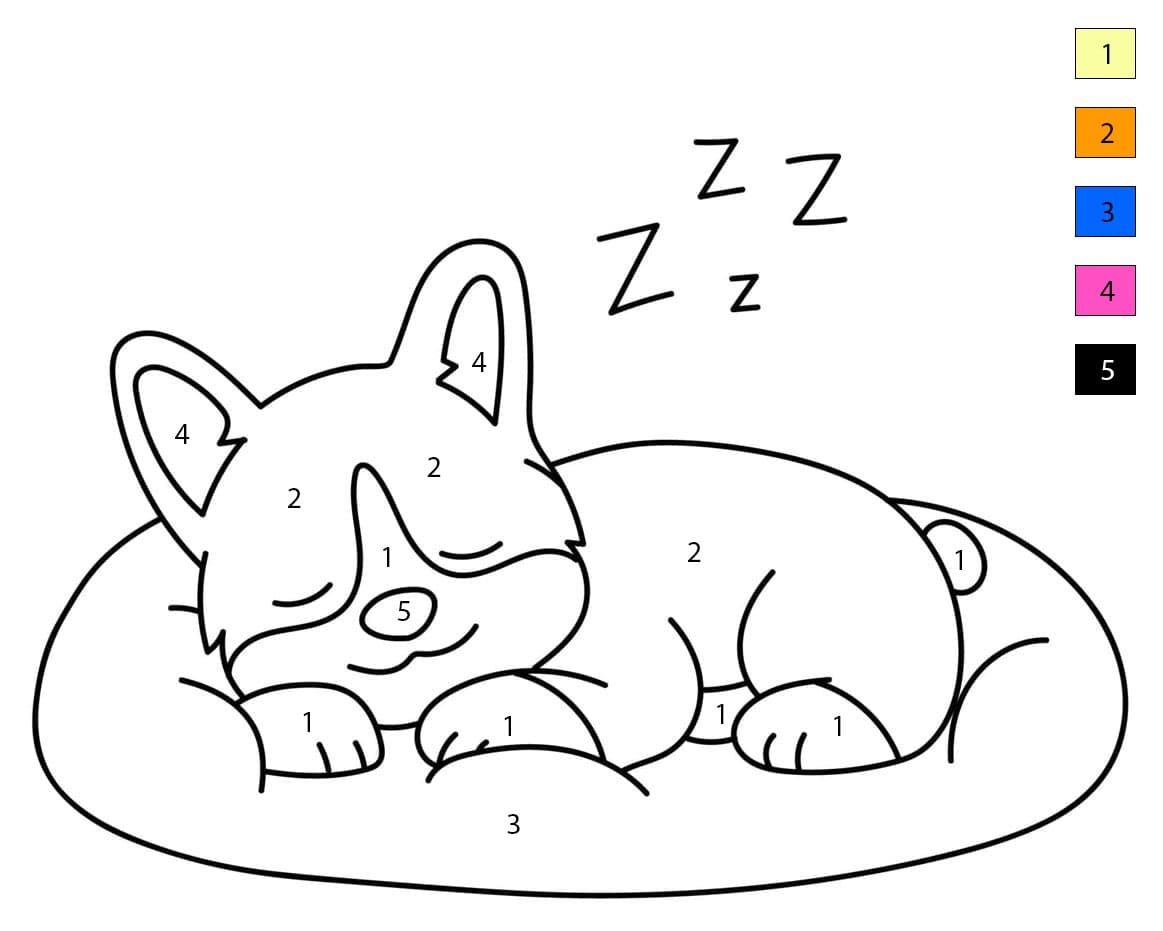 Corgi Sleeping Color By Number