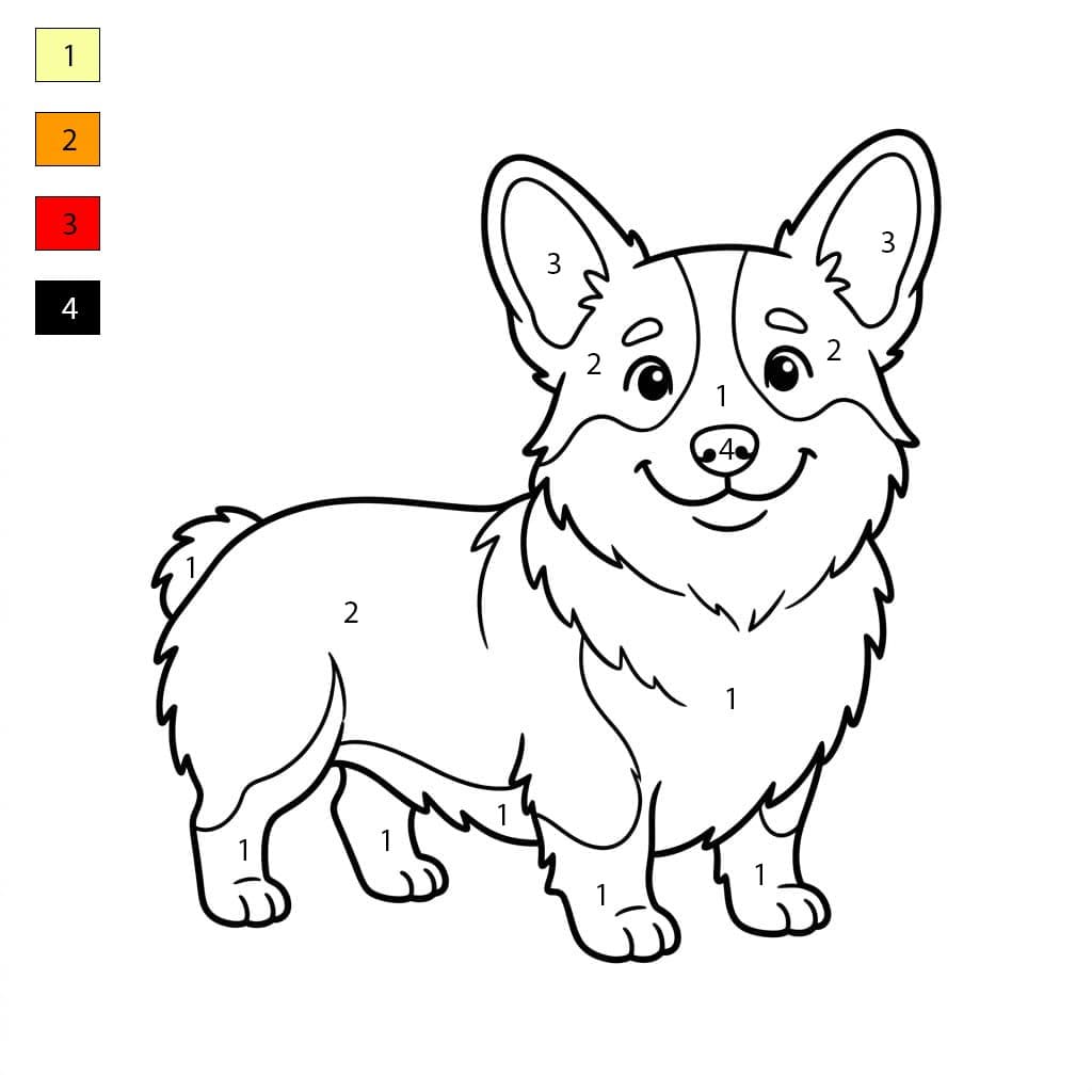 Curious Corgi Color By Number