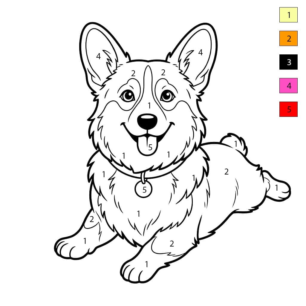 Lying Corgi Color By Number