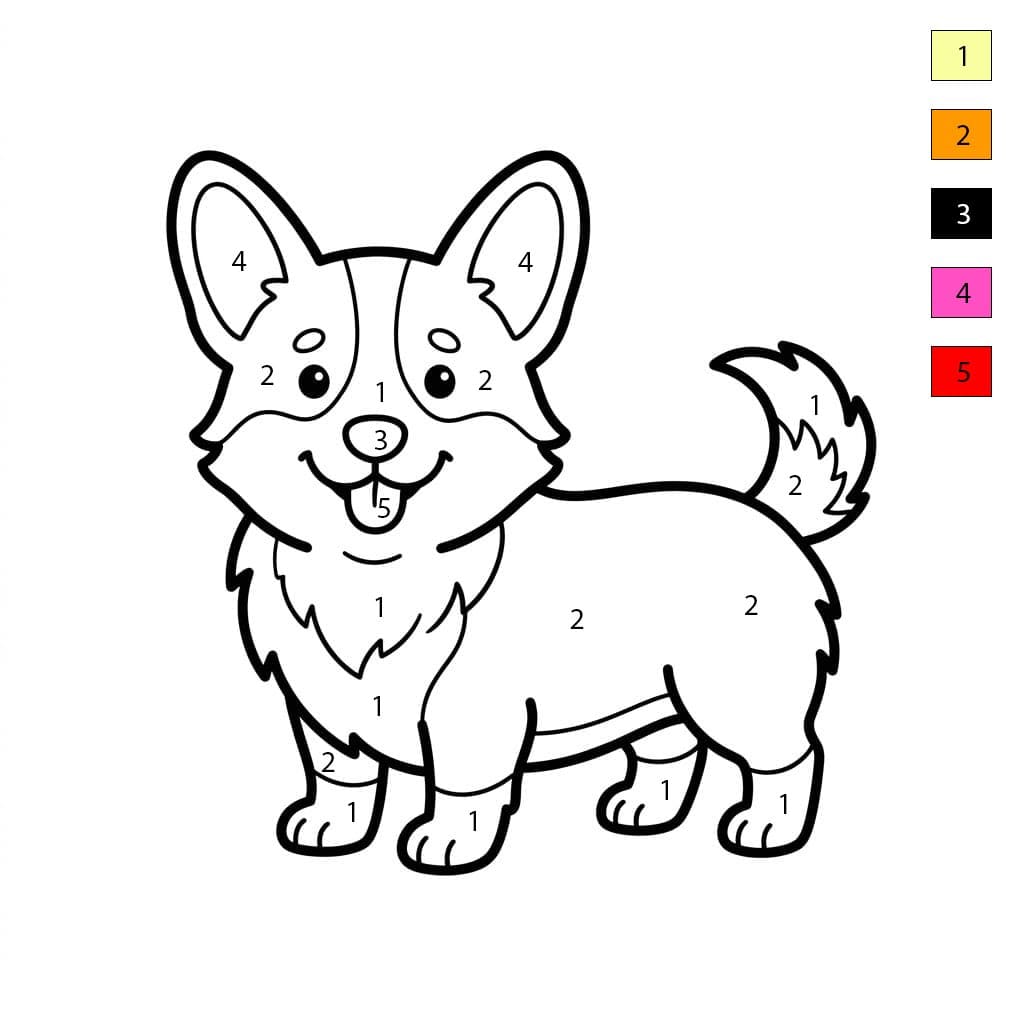 Corgi Color By Number