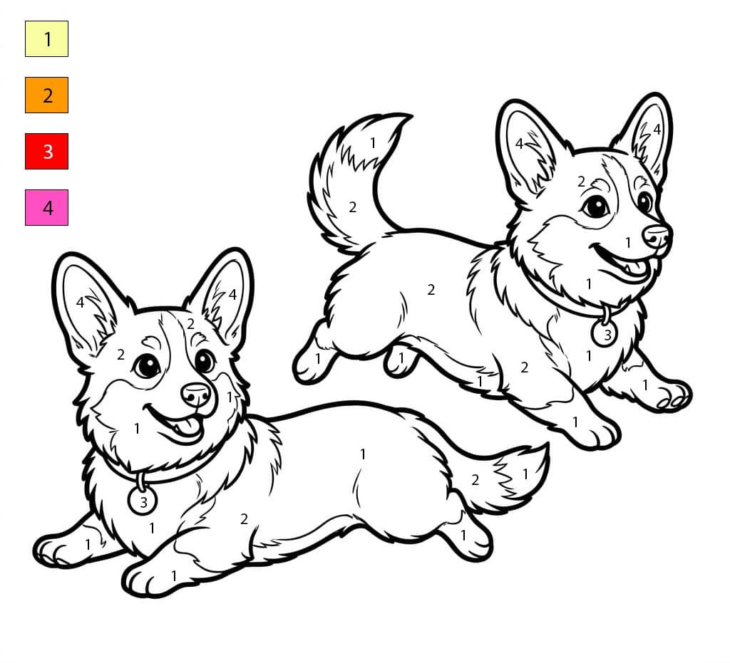 Two Corgis Color By Number