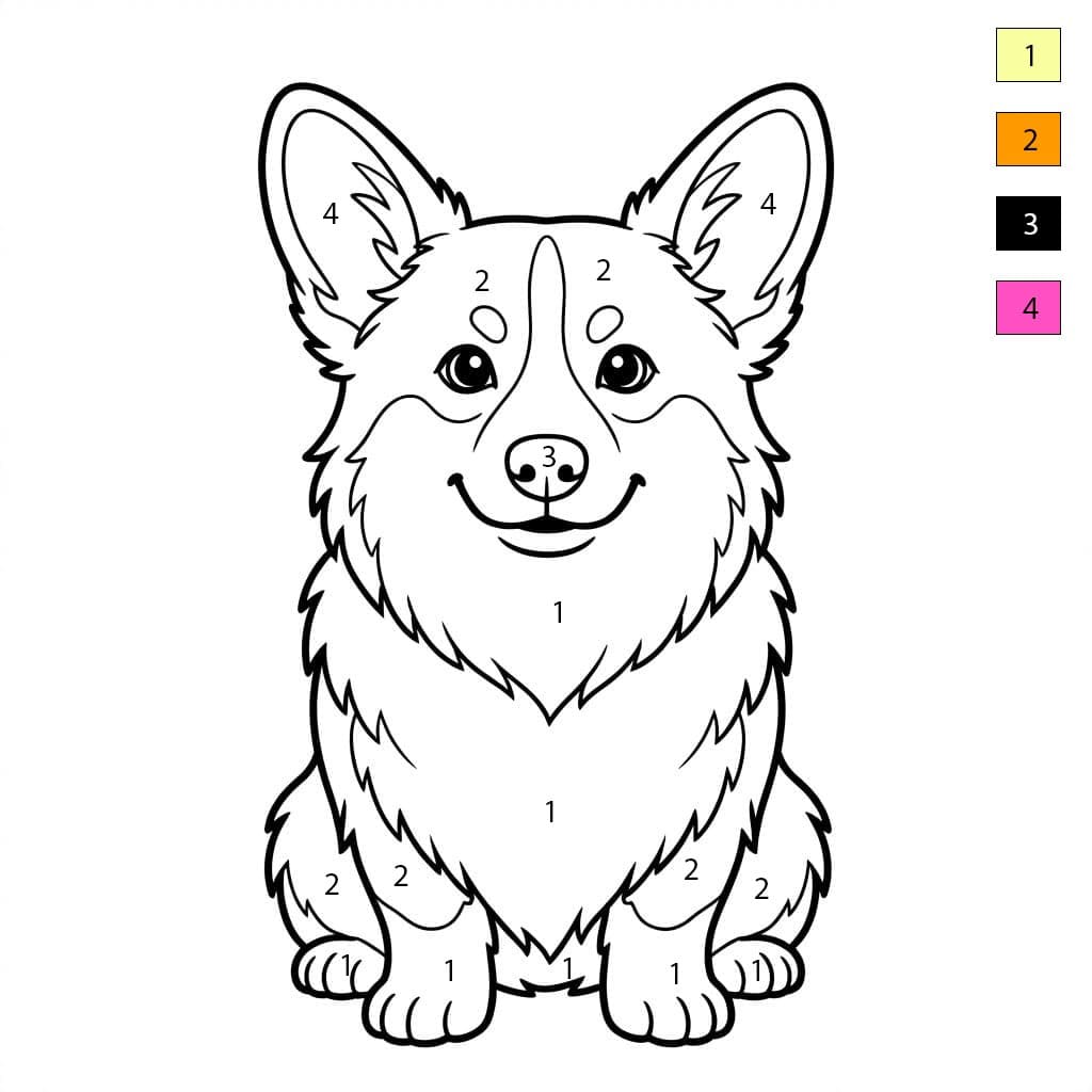 Welsh Corgi Color By Number