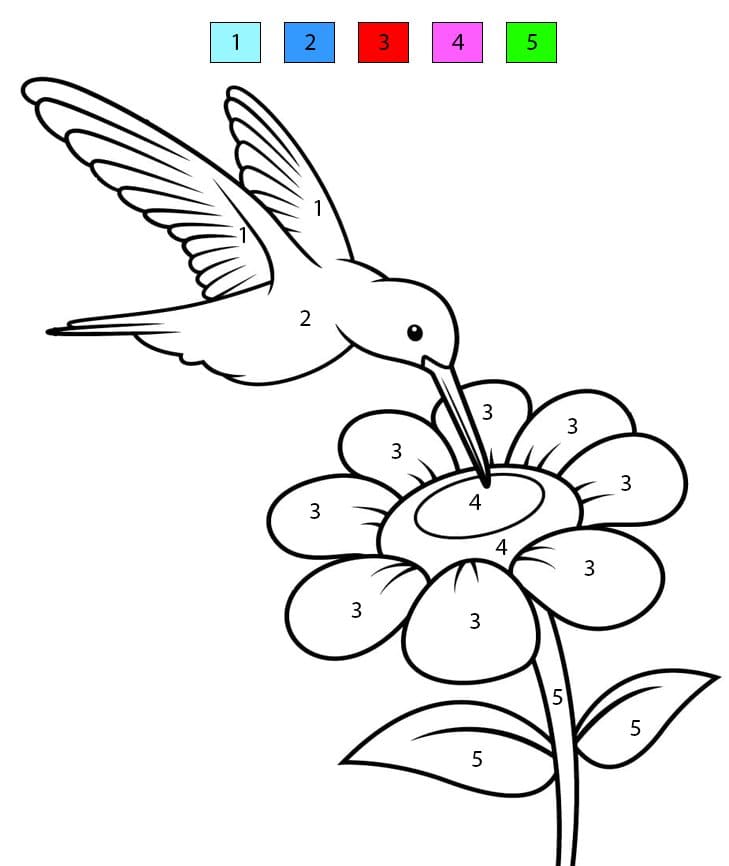 A Cute Hummingbird Color By Number