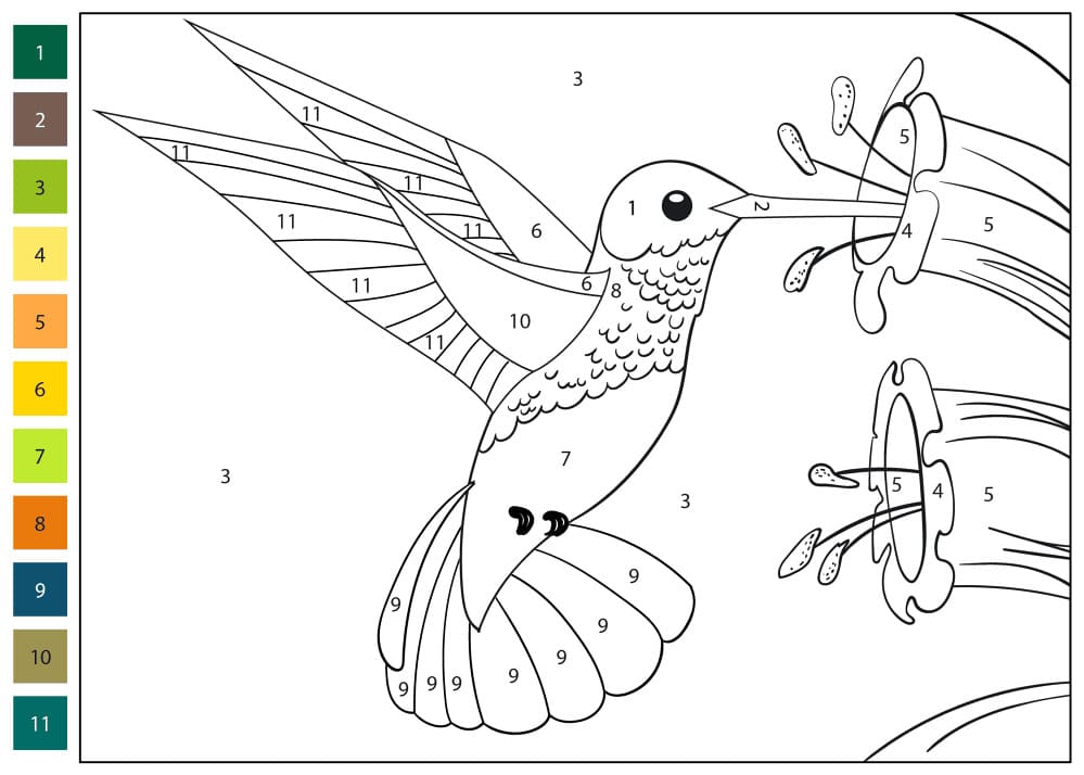 A Flying Hummingbird Color By Number