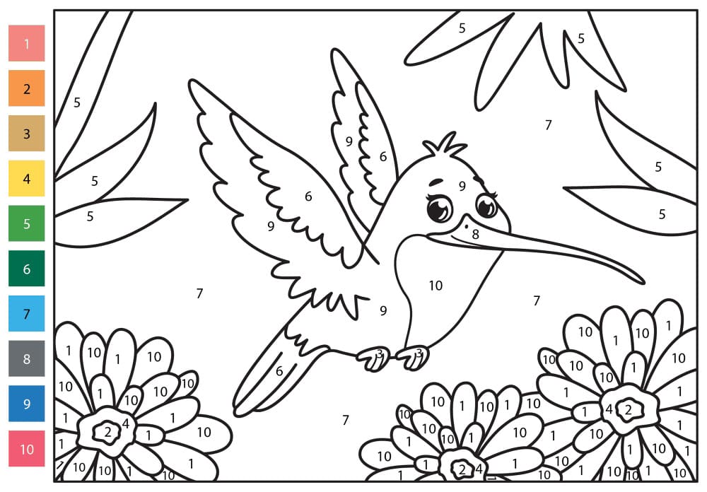A Hummingbird Color By Number