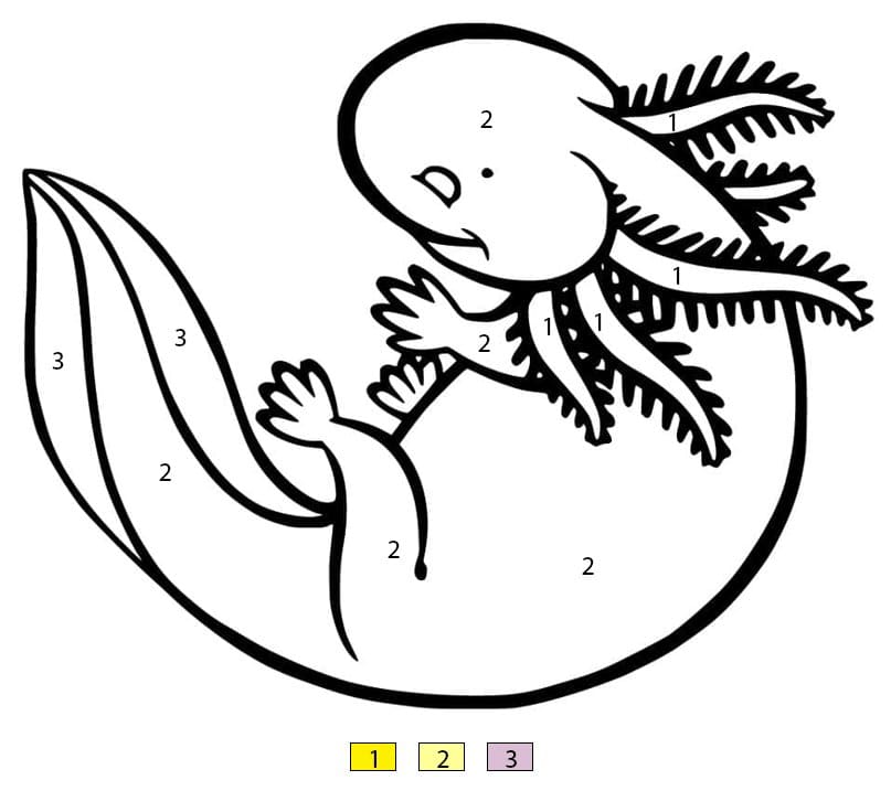 Axolotl Printable Color By Number