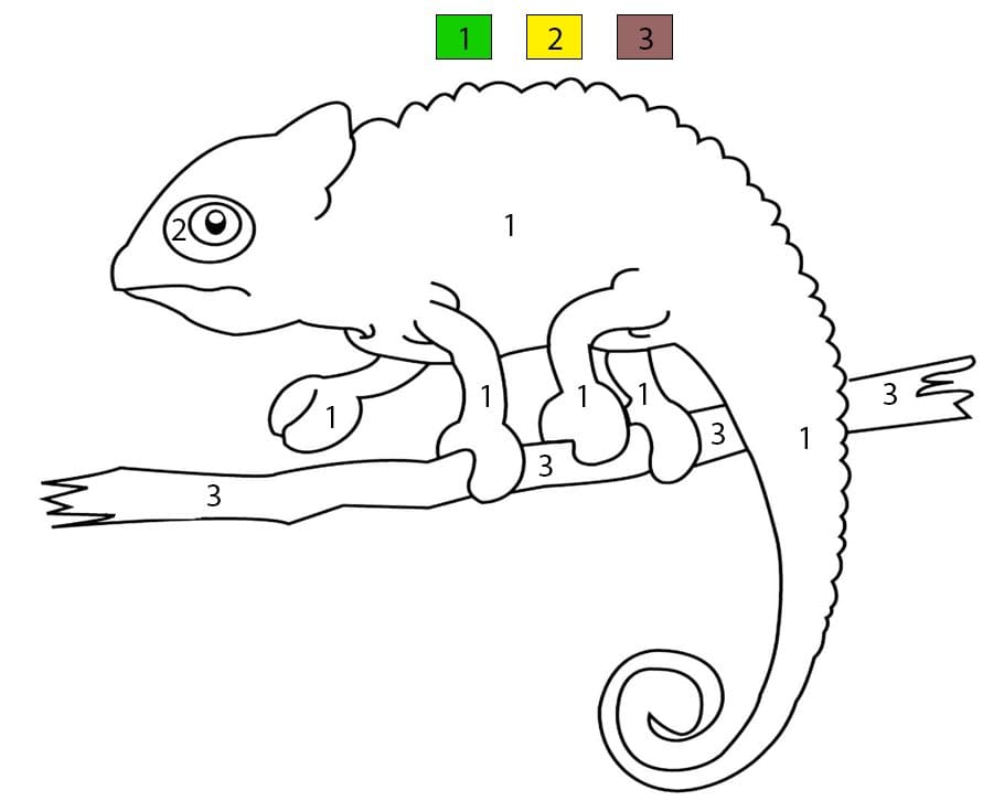 Basic Chameleon Color By Number