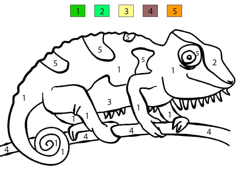 Chameleon For Children Color By Number