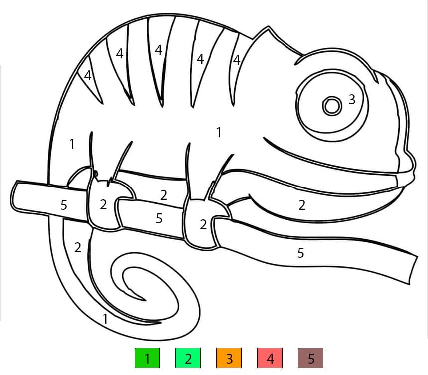 Cute Little Chameleon Color By Number