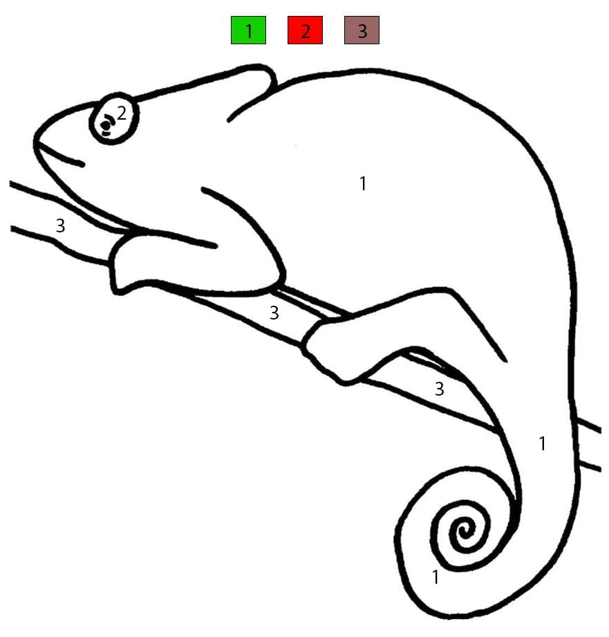 Chameleon Color By Number