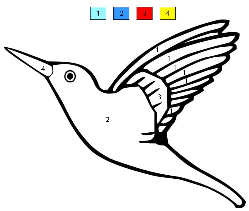 Flying Hummingbird Color By Number