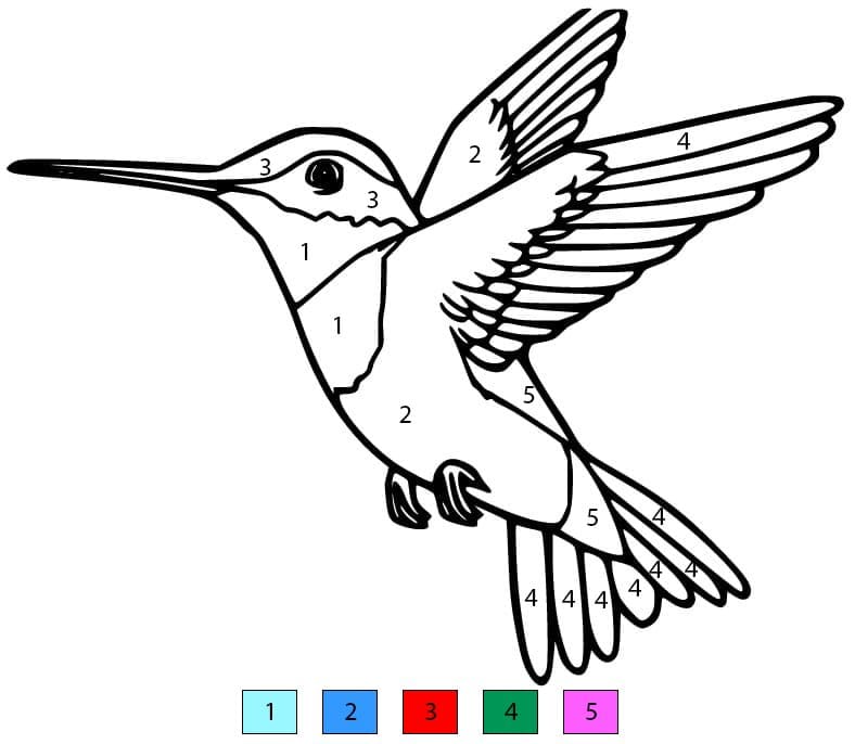 Hummingbird Printable For Kids Color By Number