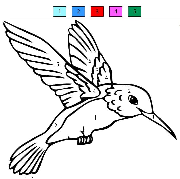 Hummingbird To Print Color By Number