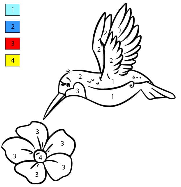 Hummingbird and A Flower Color By Number