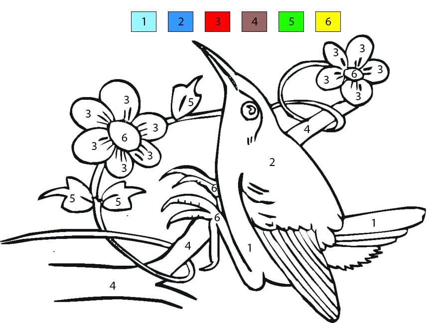 Hummingbird and Flowers Color By Number