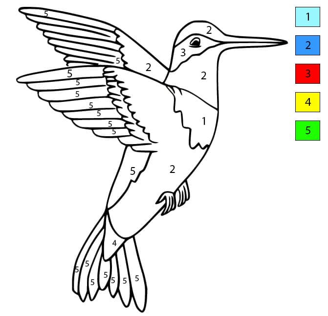 Hummingbird is Flying Color By Number