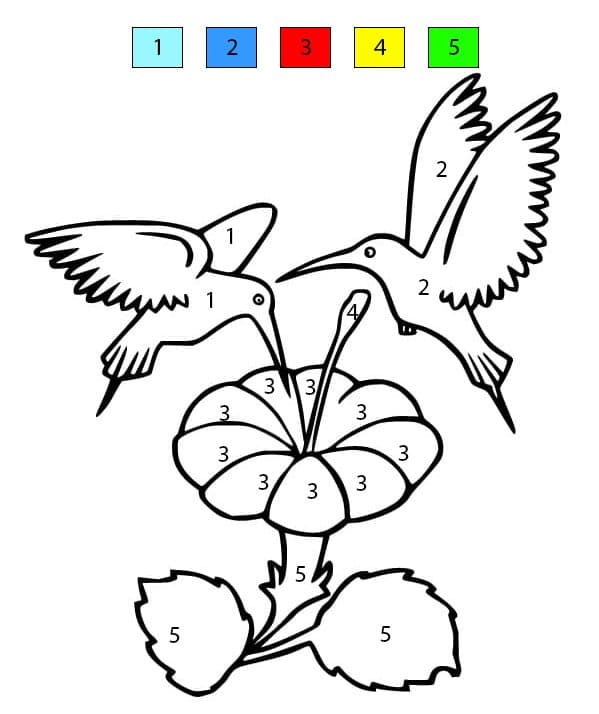 Hummingbirds and Flower Color By Number