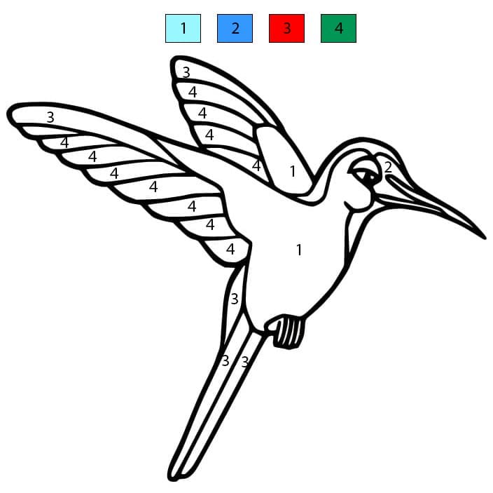 Hummingbird Color By Number