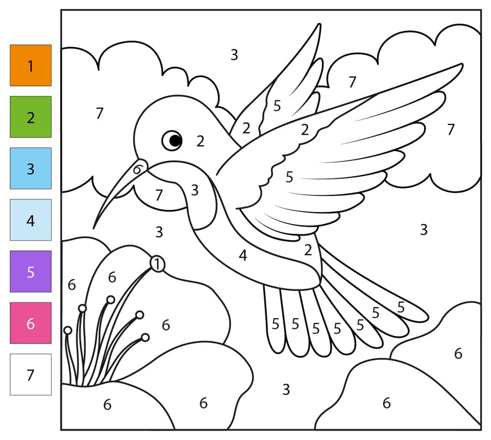Normal Hummingbird Color By Number