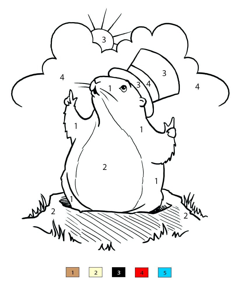 Cute Groundhog Color By Number