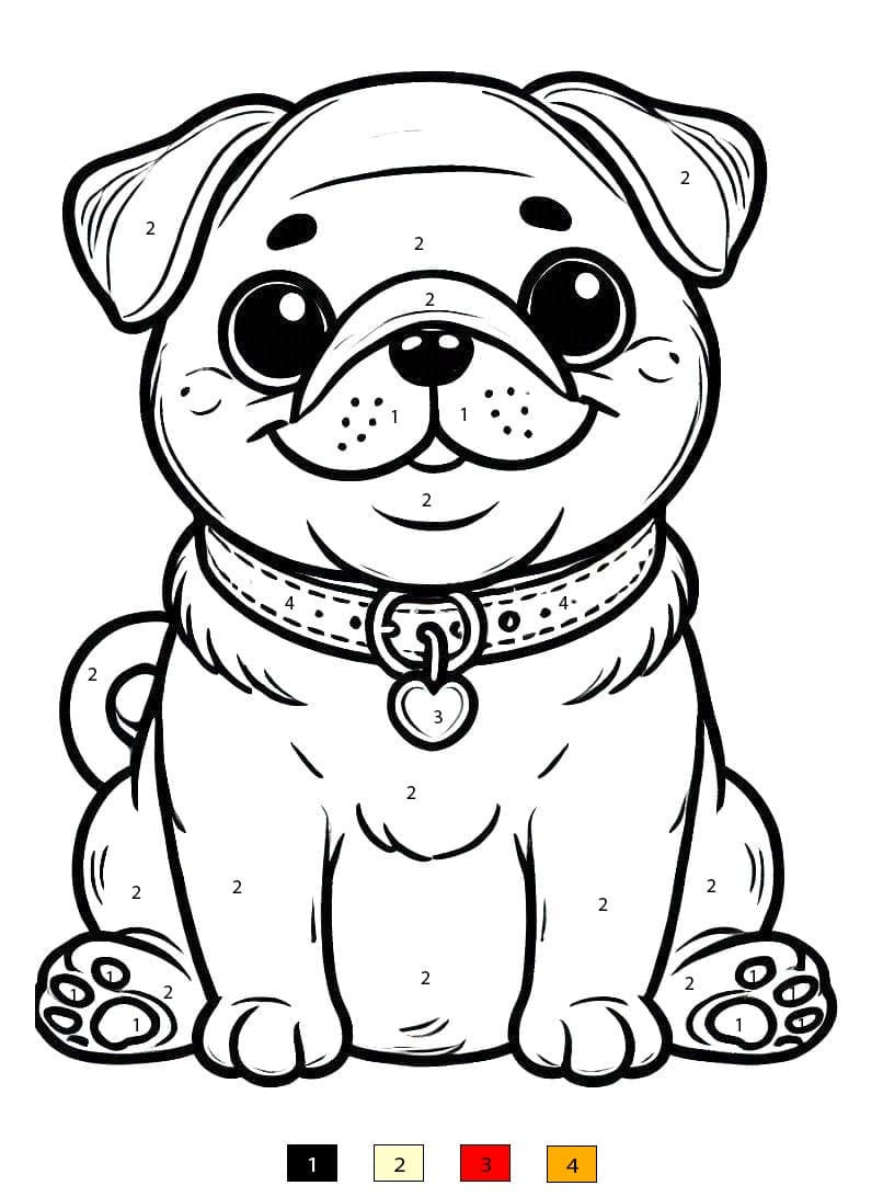 Drawing of Pug Color By Number