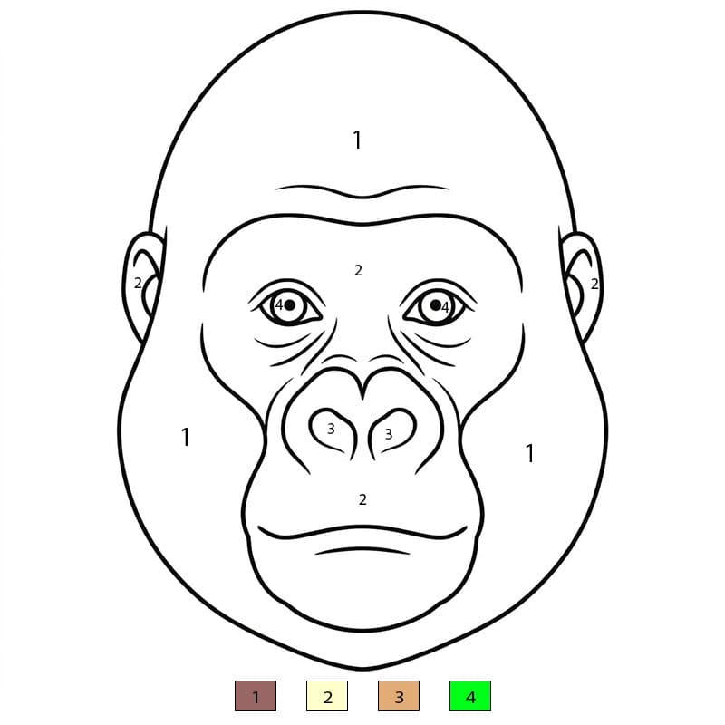 Face Gorilla Color By Number