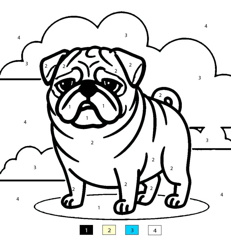 Fat Pug Color By Number