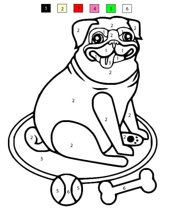 Funny Pug Dog Color By Number