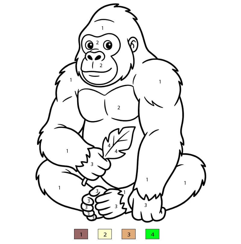 Gorilla Amazing Color By Number