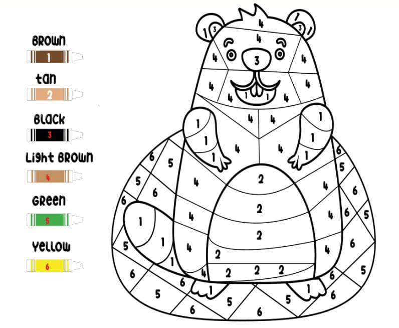 Groundhog Cute Color By Number