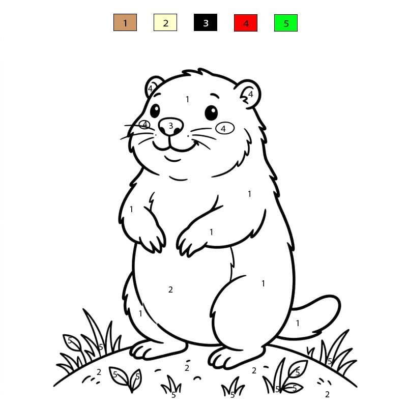 Groundhog Smiling Color By Number
