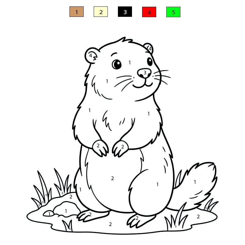 Normal Groundhog Color By Number