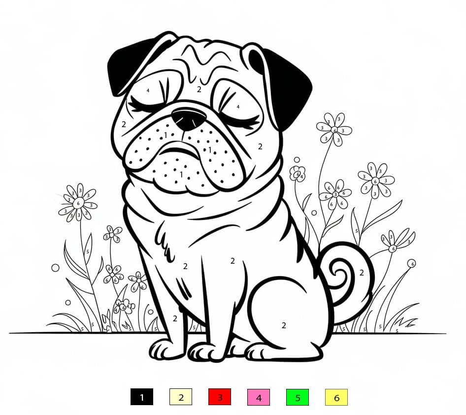 Pretty Pug Dog Color By Number