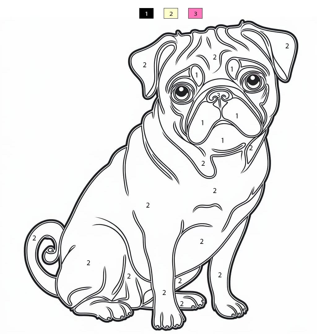 Print Pug Color By Number