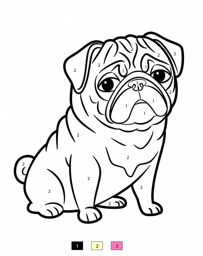 Pug Dog Color By Number
