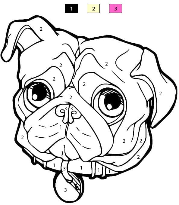 Pug Face Color By Number