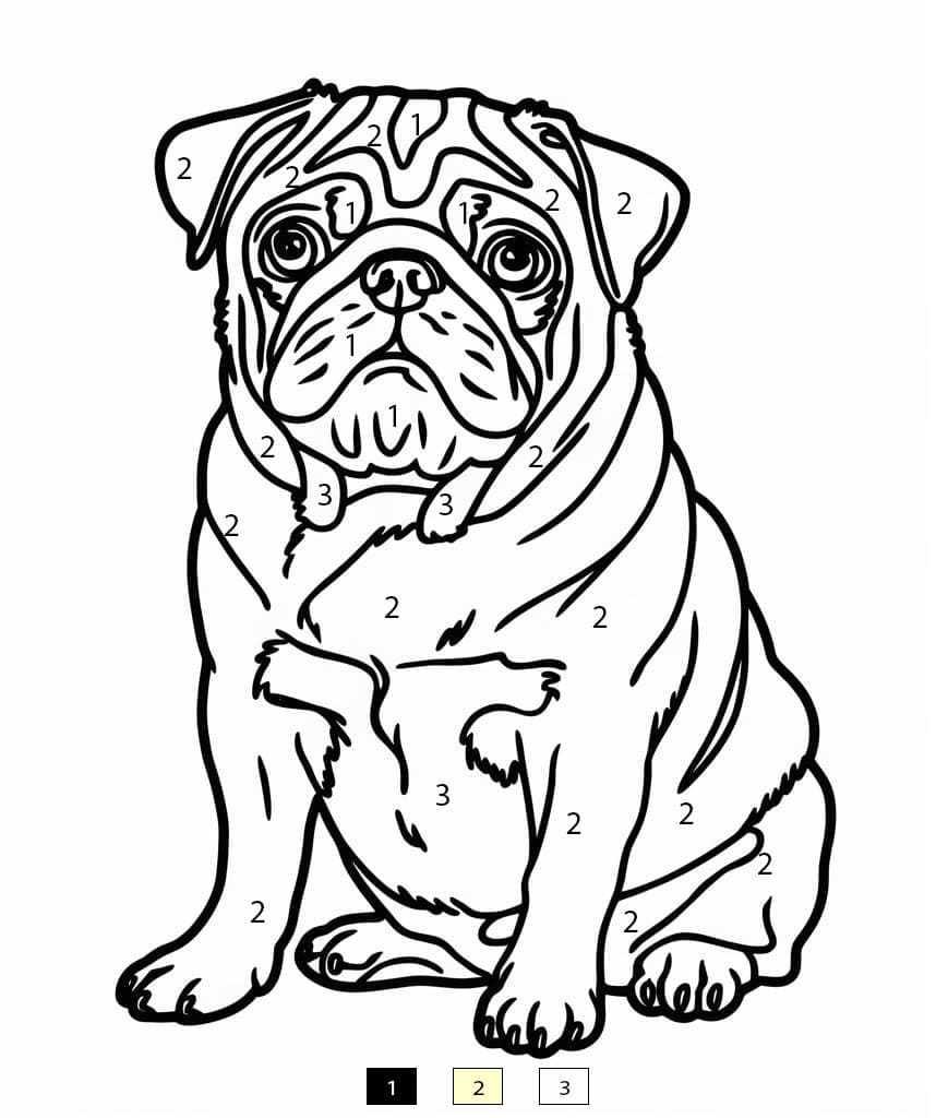 Pug to Print Color By Number