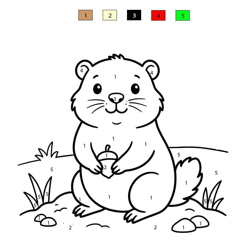 Groundhog  Color By Number