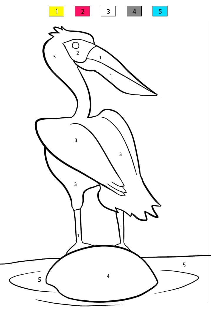 A Pelican Color By Number