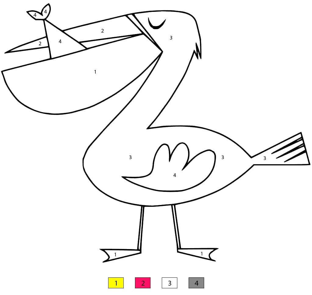 A Simple Pelican Color By Number