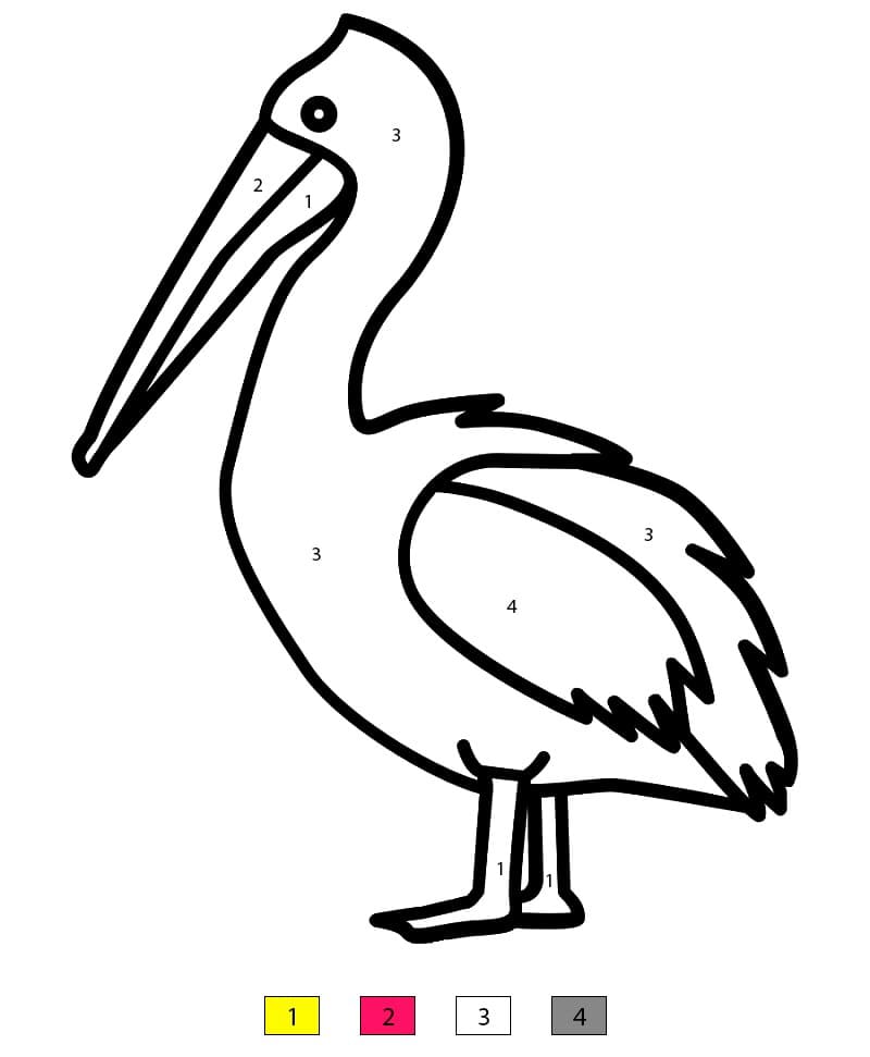 Easy Pelican Color By Number
