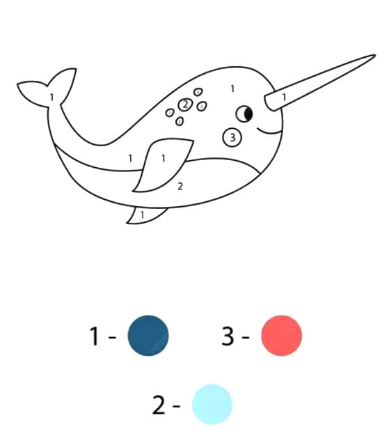 Free Narwhal Color By Number