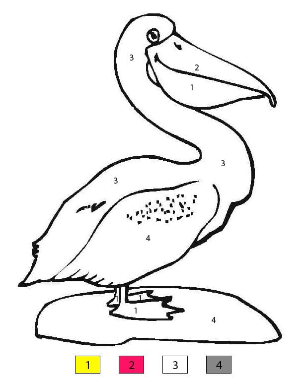 Happy Pelican Color By Number