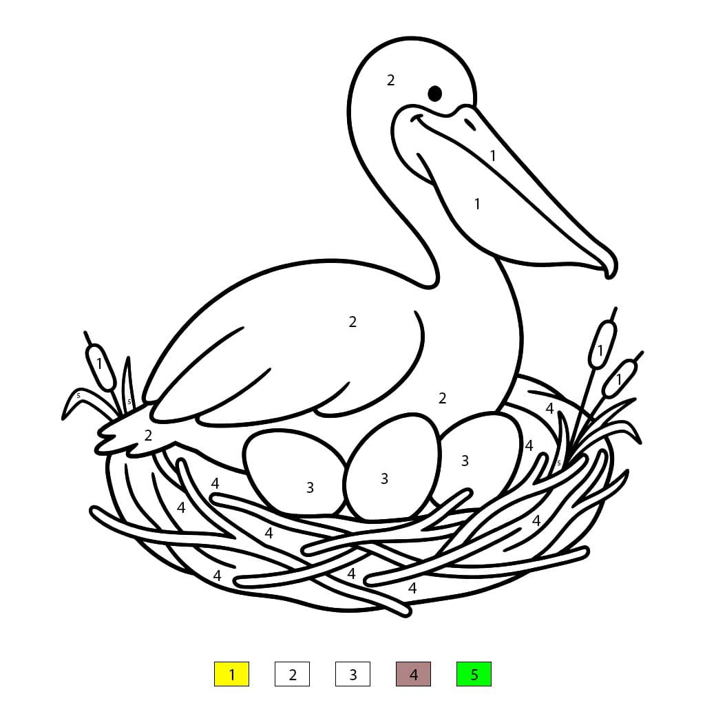 Mon Pelican Color By Number