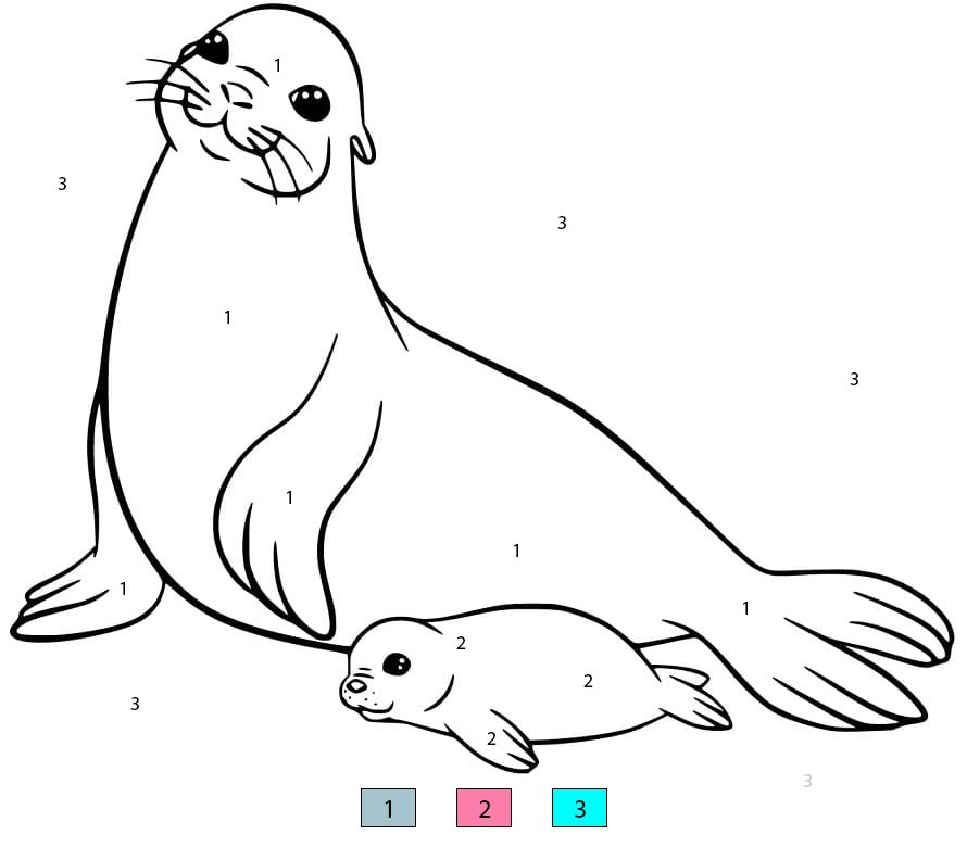 Mother and Baby Sea Lion Color By Number