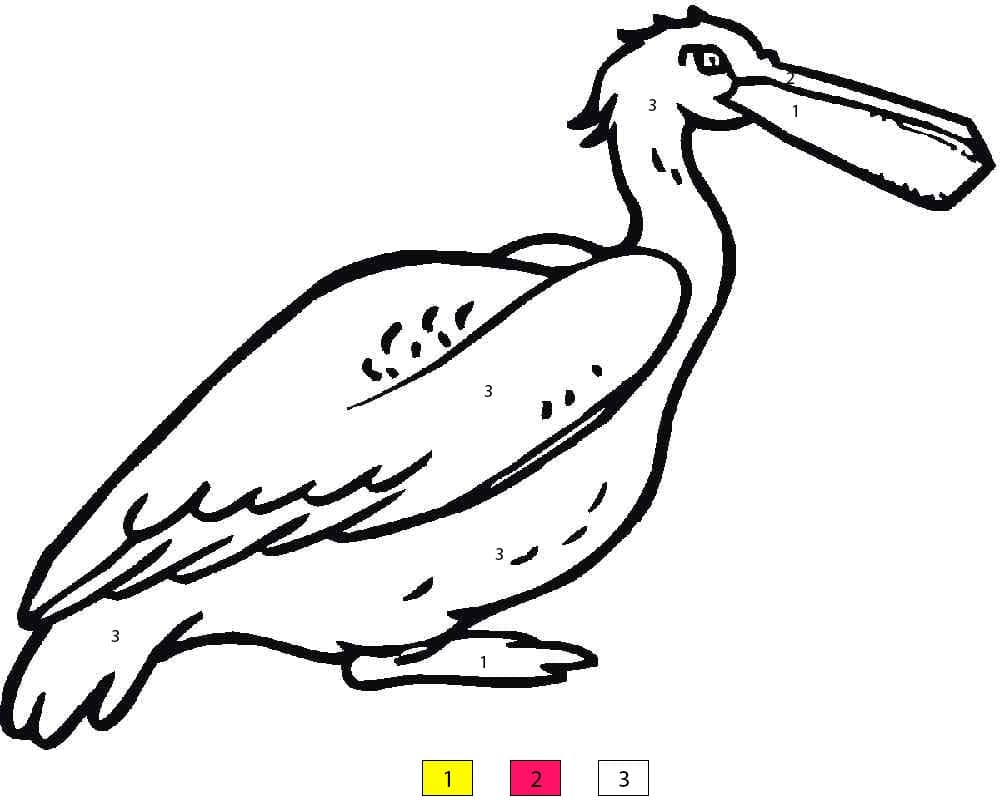 Normal Pelican Color By Number