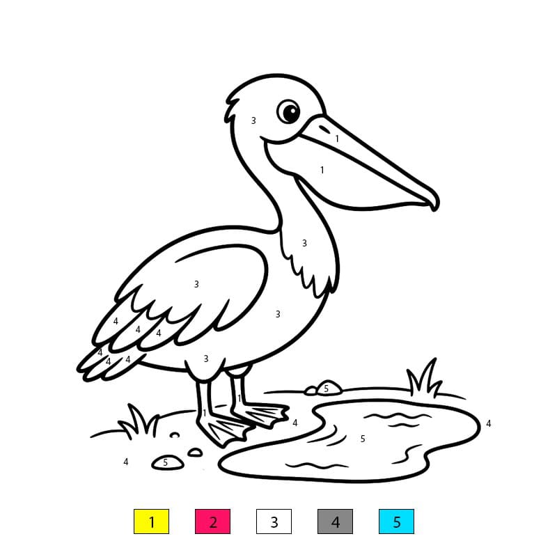 Pelican Amazing Color By Number