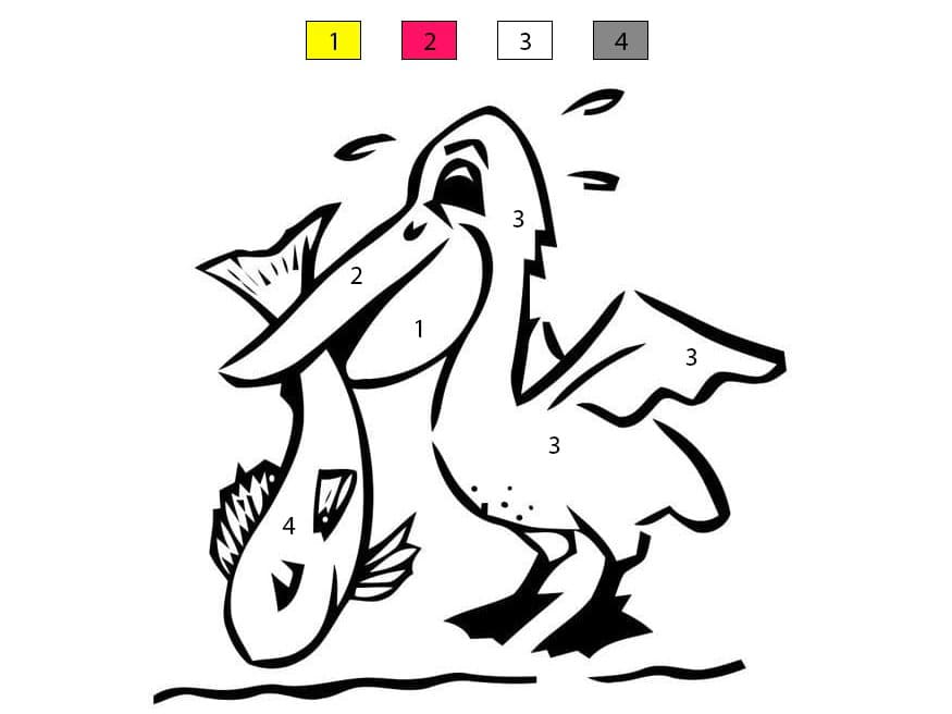 Pelican Catching Fish Color By Number