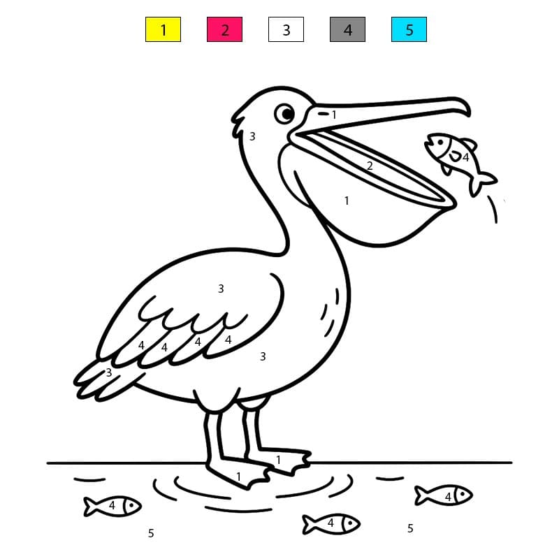Pelican Eating Color By Number