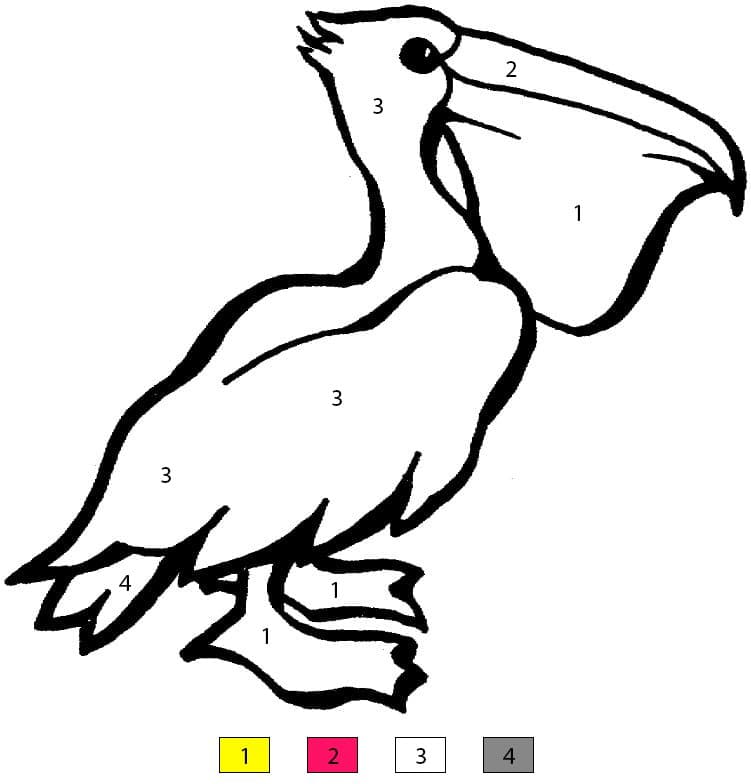 Pelican Free Color By Number